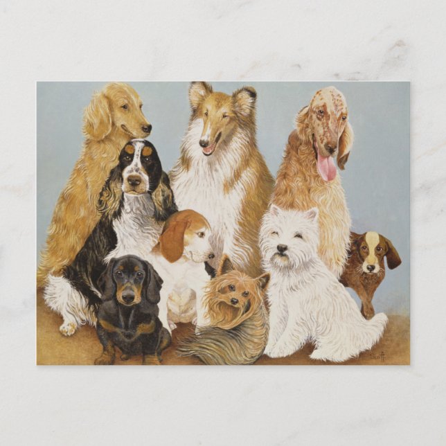 Dogs Dinner Postkarte (Vorderseite)