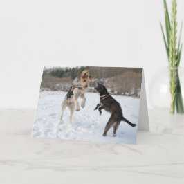 Dogs having fun in the snow Christmas Feiertagskarte