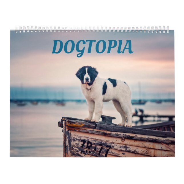 Dogtopie - Dosierungskalender Kalender (Titelbild)