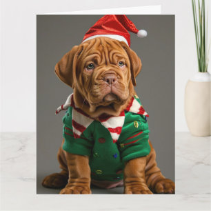 Dogue de Bordeaux Elf Welpe Weihnachtskarte Karte