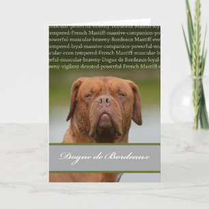 Dogue de Bordeaux, Hundezucht-Beschreibung Feiertagskarte