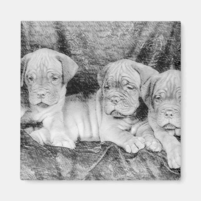 Dogue de Bordeaux-Magnet Magnet (Vorne)