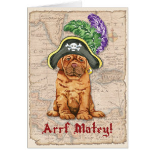 Dogue de Bordeaux Pirate Card