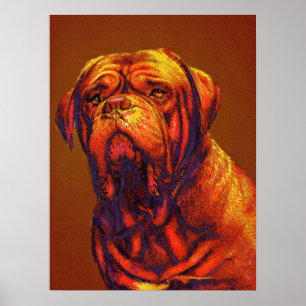 Dogue de bordeaux poster