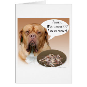 Dogue de Bordeaux Türkei
