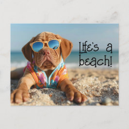 Dogue de Bordeaux Welpe mit Sonnenbrille Postkarte