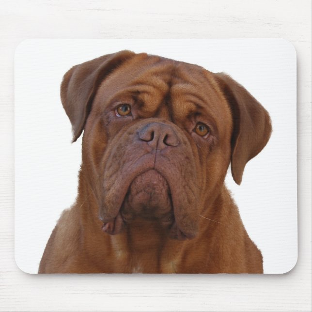 Dogue de Bourdeaux Mousepad (Vorne)