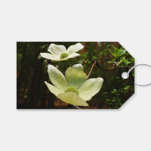 Dogwood and Redwoods in Yosemite National Park Geschenkanhänger