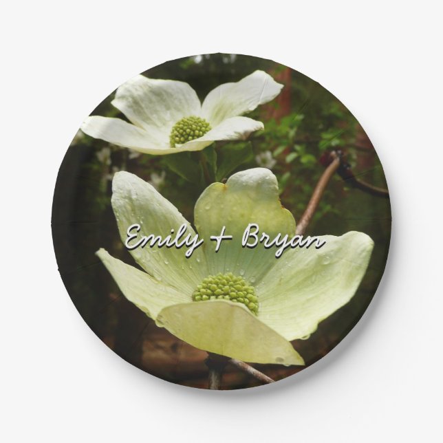 Dogwood and Redwoods in Yosemite National Park Pappteller (Vorderseite)