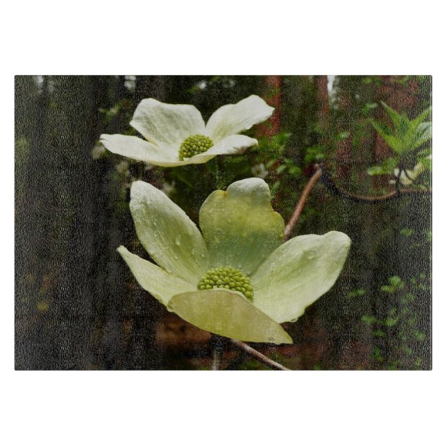 Dogwood and Redwoods in Yosemite National Park Schneidebrett (Vorderseite)