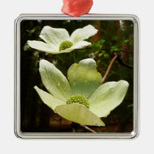 Dogwood and Redwoods in Yosemite National Park Silbernes Ornament