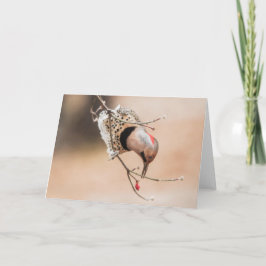 Dogwood Berry Frühstück Karte