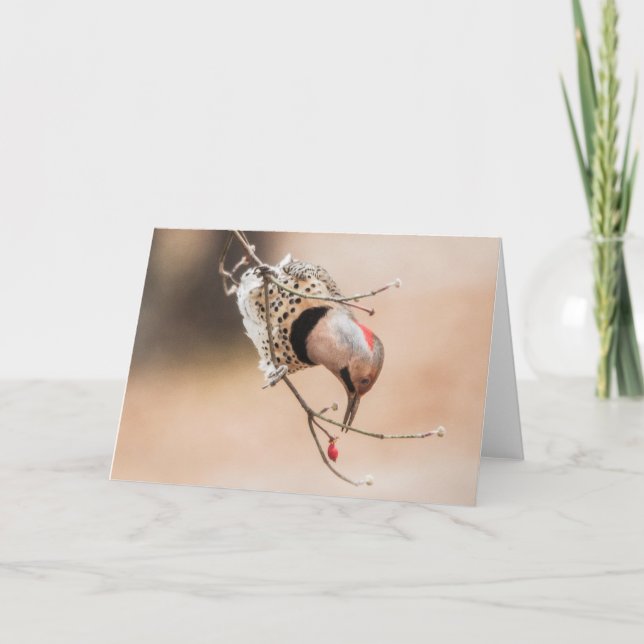 Dogwood Berry Frühstück Karte (Vorderseite)