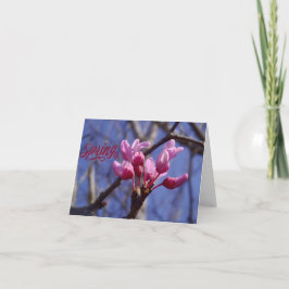 Dogwood Blossom Blank Greeting Card Dankeskarte