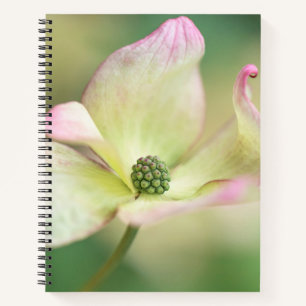 Dogwood Blossom Cornus Kousa 'Miss Satomi' Notizbuch