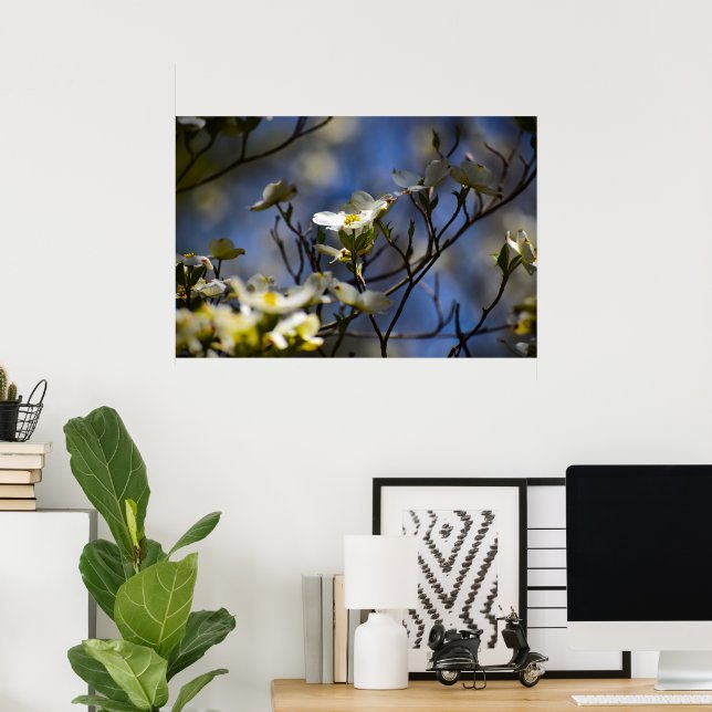 Dogwood Blossom, Poster (Heimbüro)