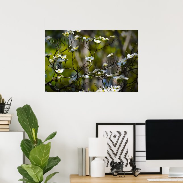 Dogwood Blossom, Poster (Heimbüro)