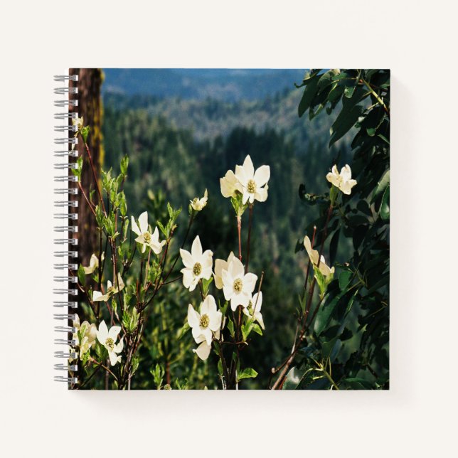 Dogwood blüht...... notizbuch (Vorderseite)