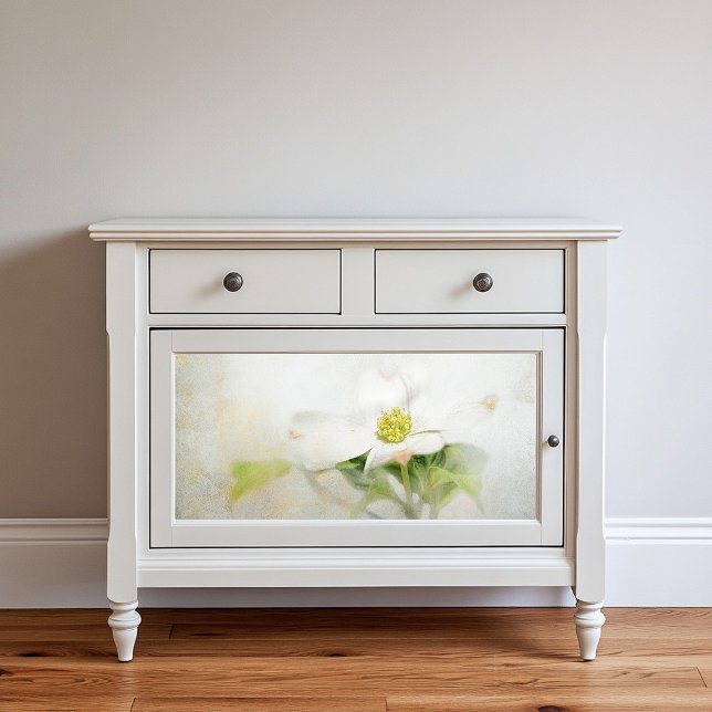 Dogwood Blume Blumenmuseum Seidenpapier (Von Creator hochgeladen)