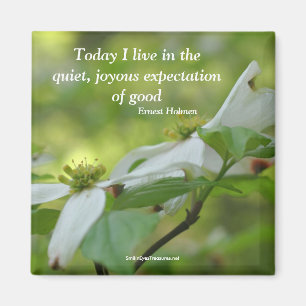 Dogwood Blume Goodness Quote Magnet