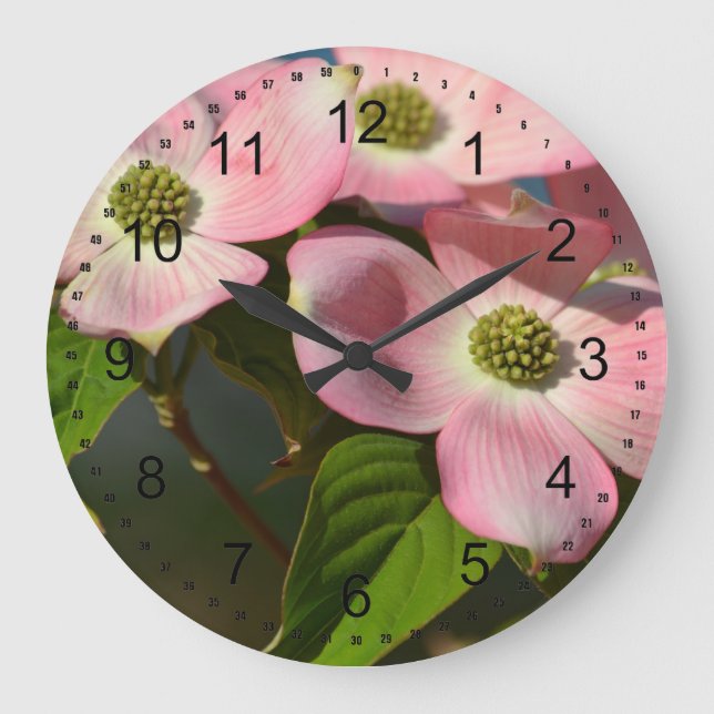 Dogwood-Blume im Frühjahr Große Wanduhr (Vorderseite)