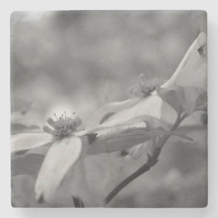 Dogwood-Blume in Schwarz und Weiß Steinuntersetzer