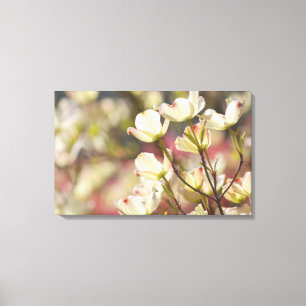 Dogwood-Blume Leinwanddruck