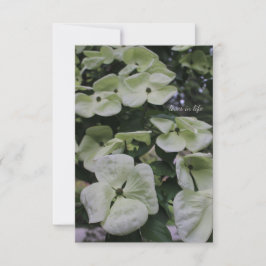 Dogwood-Blume Mitteilungskarte