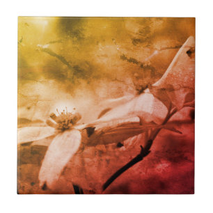 Dogwood-Blume Schwarz-Weiß Vintag Fliese