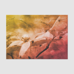 Dogwood-Blume Schwarz-weiße Vintage Decoupage Seidenpapier