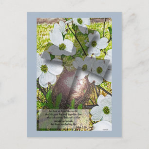 Dogwood Blume und Kreuz w/John 3:16 Postkarte