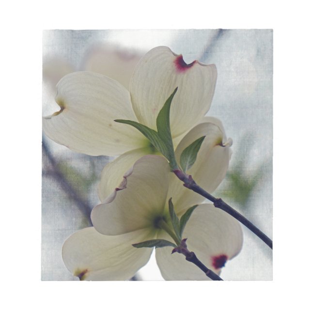 Dogwood-Blüten Notizblock (Vorderseite)