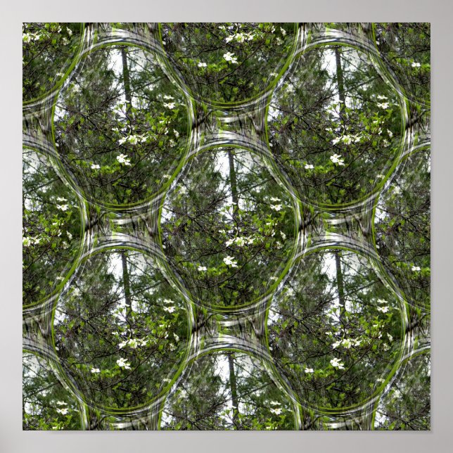 Dogwood Bubbles.... Poster (Vorne)