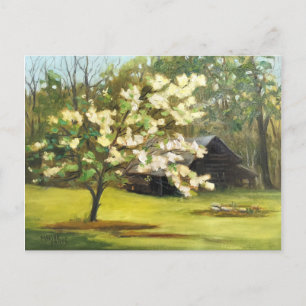 Dogwood Days Postkarte