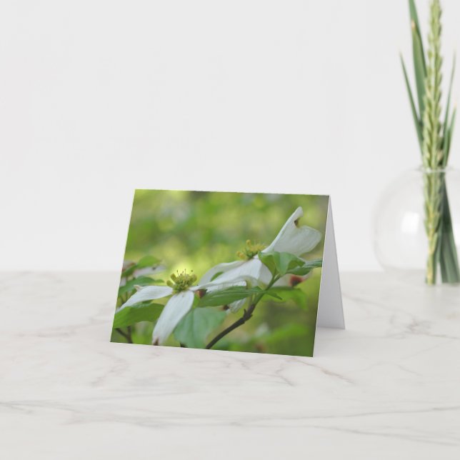 Dogwood Flower Blossoms Personalized  (Vorderseite)