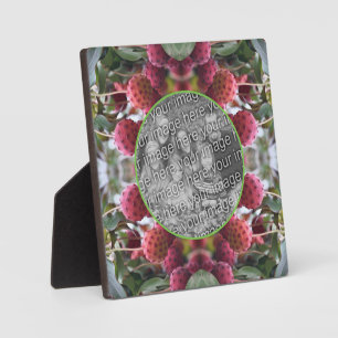 Dogwood Fruit Nature erstellen Sie Ihr eigenes Fot Fotoplatte