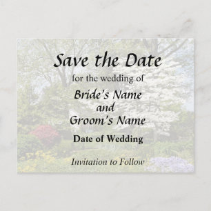 Dogwood in Bloom Ankündigungspostkarte