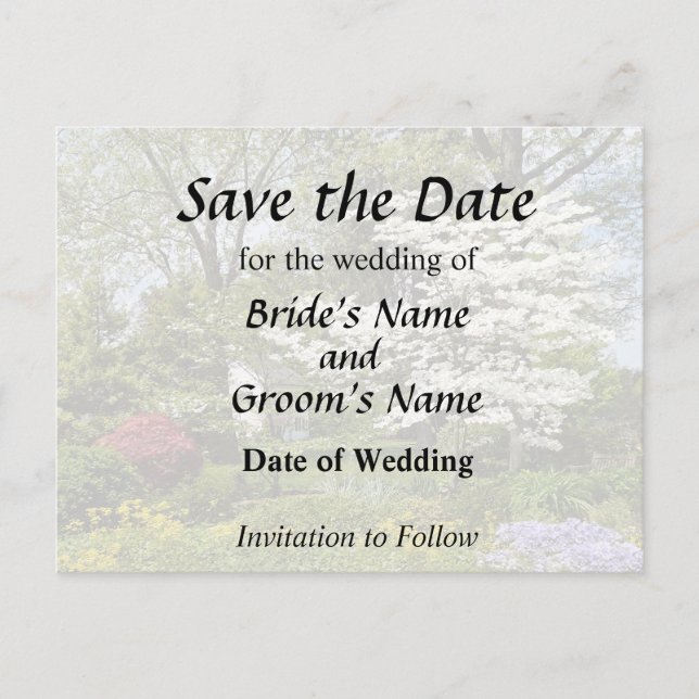 Dogwood in Bloom Ankündigungspostkarte (Vorderseite)