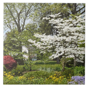 Dogwood in Bloom Fliese