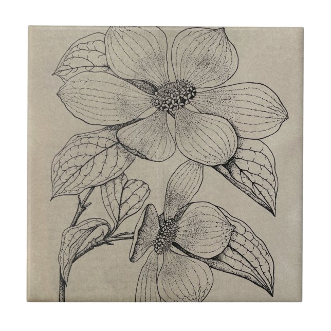 Dogwood-Keramik Fliese (Vorderseite)