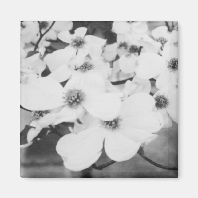 Dogwood Magnet (Vorne)
