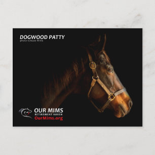 Dogwood Patty Postcard Postkarte