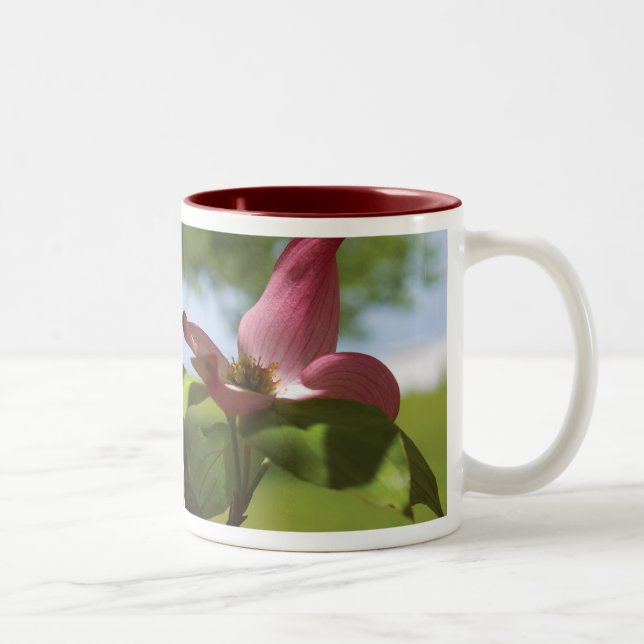 Dogwood-Tasse Zweifarbige Tasse (Rechts)
