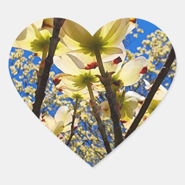 Dogwood Tree Herz-Aufkleber (Vorderseite)