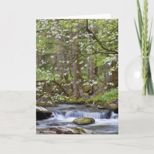 Dogwood Trees Great Smoky Mountain, Tennessee Karte