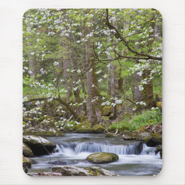 Dogwood Trees | Großer Smoky-Berg, Tennessee Mousepad (Vorne)