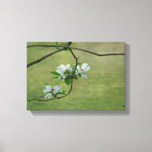 Dogwood-Wandkunst Leinwanddruck