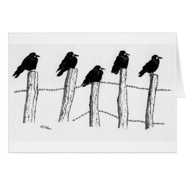 Dohlen (Vorderseite (Horizontal))