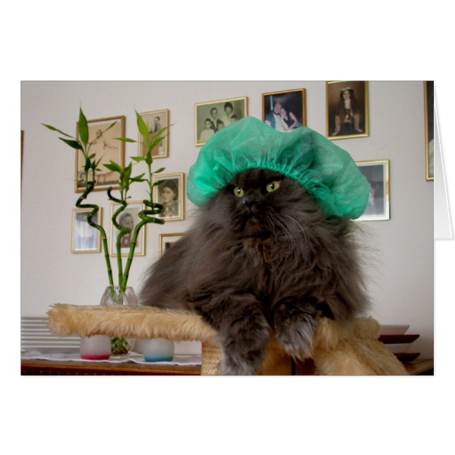 Doktor Romeo (Vorderseite (Horizontal))