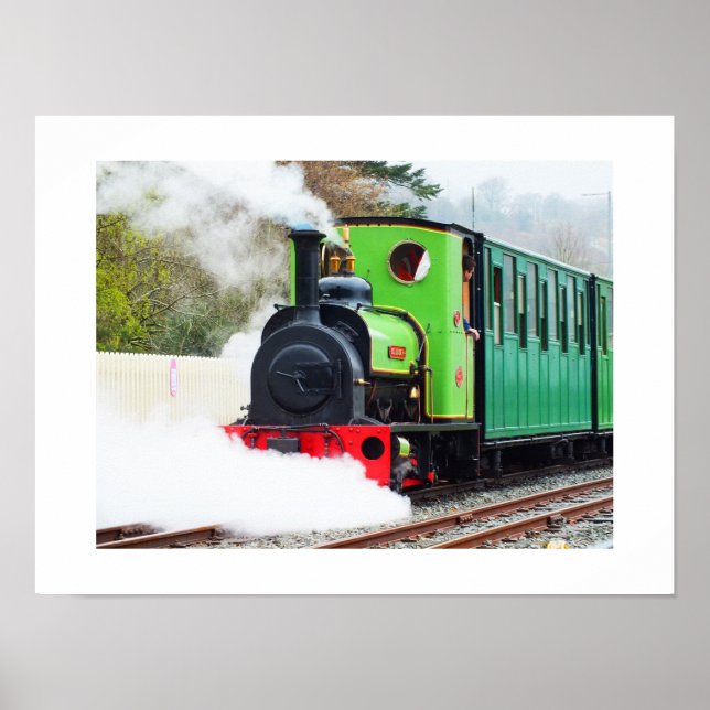 Dolbadarn Poster (Vorne)